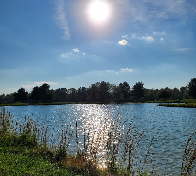 Liberty Park Fishing Pond (Hillsboro,&nbspOH)